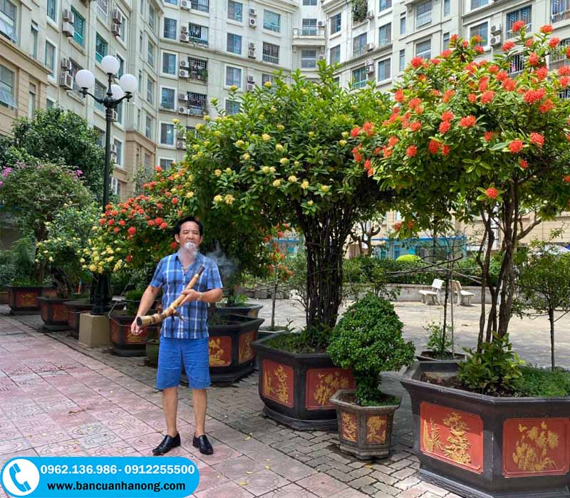 chậu xi măng lục giác vườn nhà diễn viên Quang Tèo