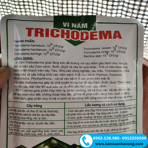 Sử dụng nấm trichoderma để bảo vệ cây khỏi bị các bệnh về nấm