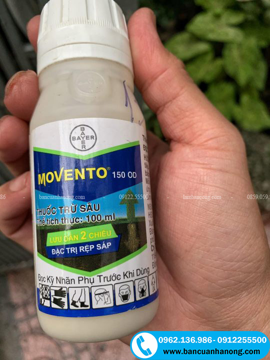 Thuốc bảo vệ thực vật - Thuốc trừ sâu Movento