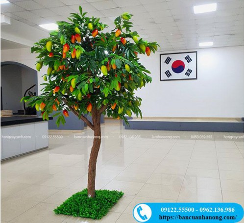Nhận thi công cây xoài giả trang trí theo yêu cầu của khách hàng tại Hà Nội và gửi đi các tỉnh