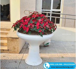 Chậu Ly Bê Tông Màu Trắng Và Màu Giả Đá Sơn Theo Yêu Cầu