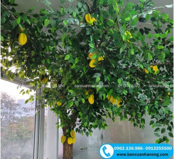Nhận thi công cây khế giả tại Hà Nội