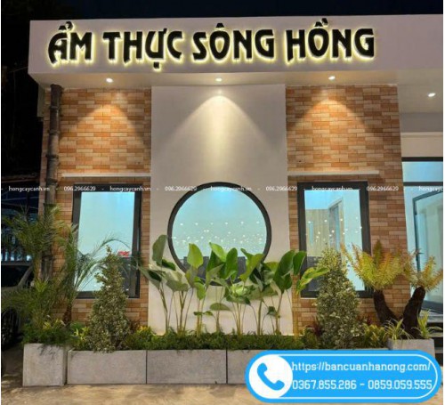 Thi công trồng cây khuôn viên nhà hàng tại Long Biên