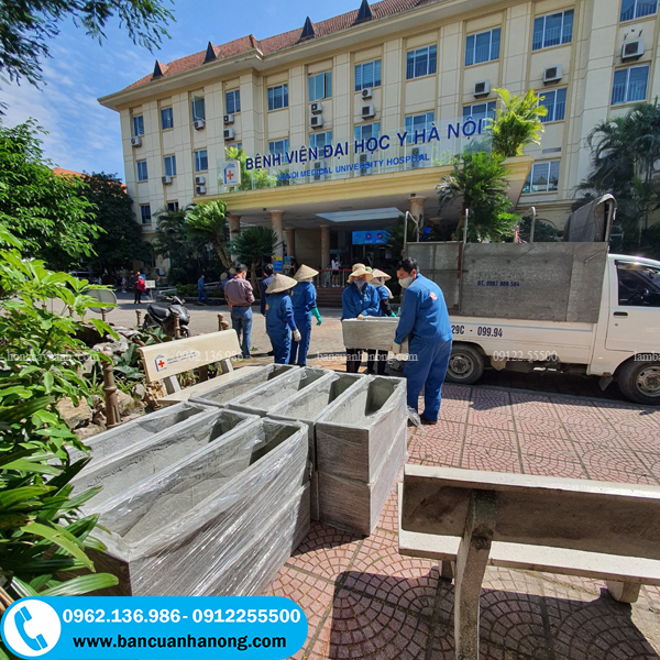 Nhân viên đang vận chuyển chậu đến bệnh viện Y học Hà Nội