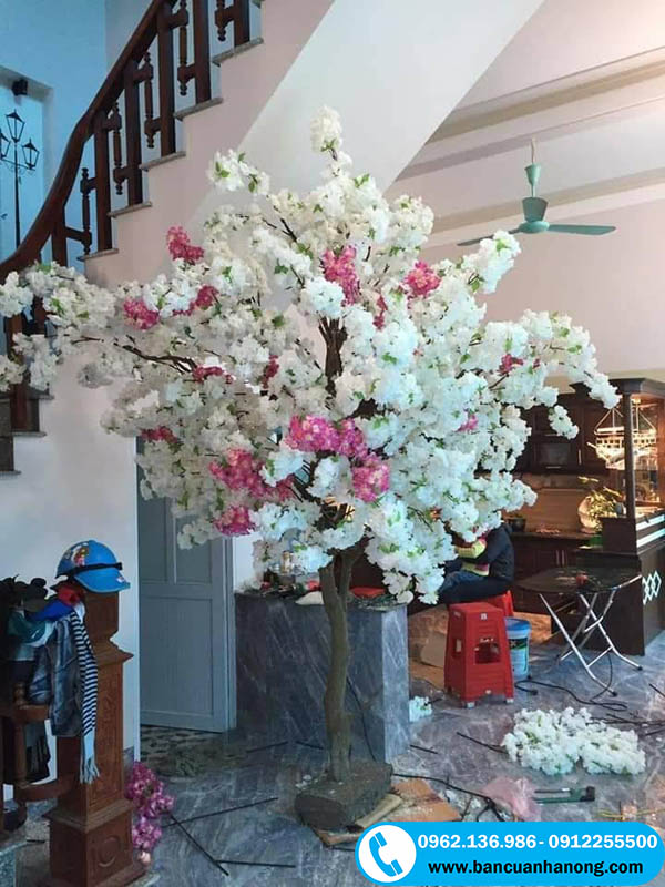 Mẫu hoa anh đào giả màu trắng được thiết kế cho một hộ gia đình