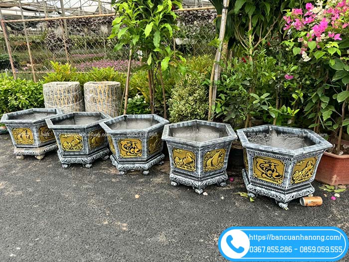 Chậu lục giác xi măng màu giả đá