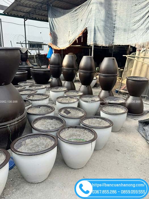 Chậu tròn đường kính 55cm