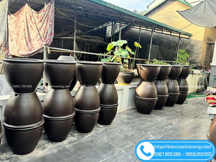 Chậu tròn đường trơn trồng cây hoặc sen súng