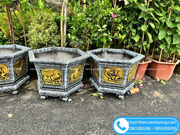 Xưởng cung cấp chậu lục giác 50cm phong thủy