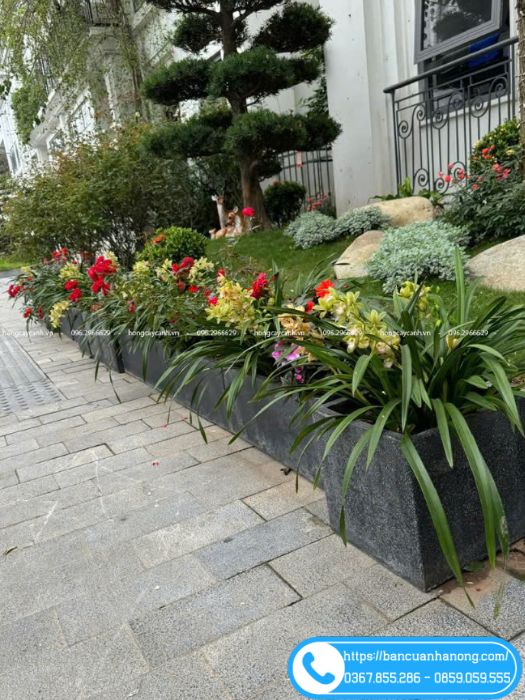Bồn hoa tô điểm không gian sảnh cơ quan thêm phần rạng rỡ