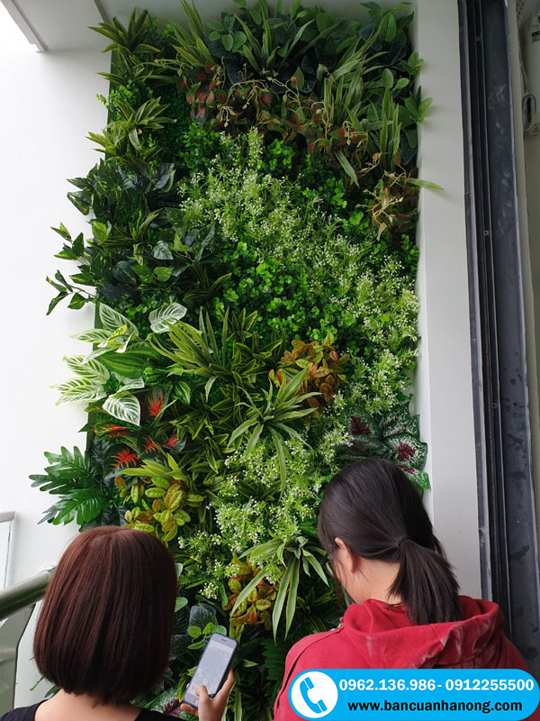 Trang trí tường bằng cây xanh giả tại Long Biên Hà Nội